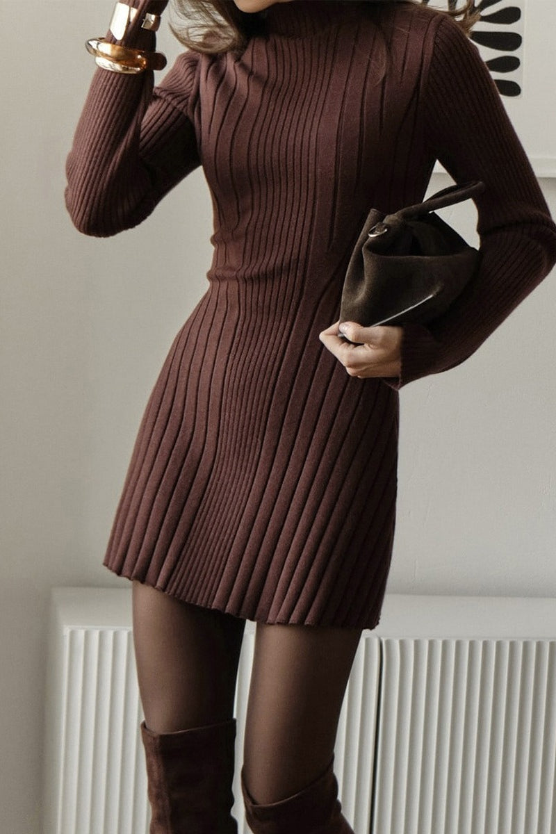 Playful Knit Mock Neck Long Sleeve a Line Mini Dress
