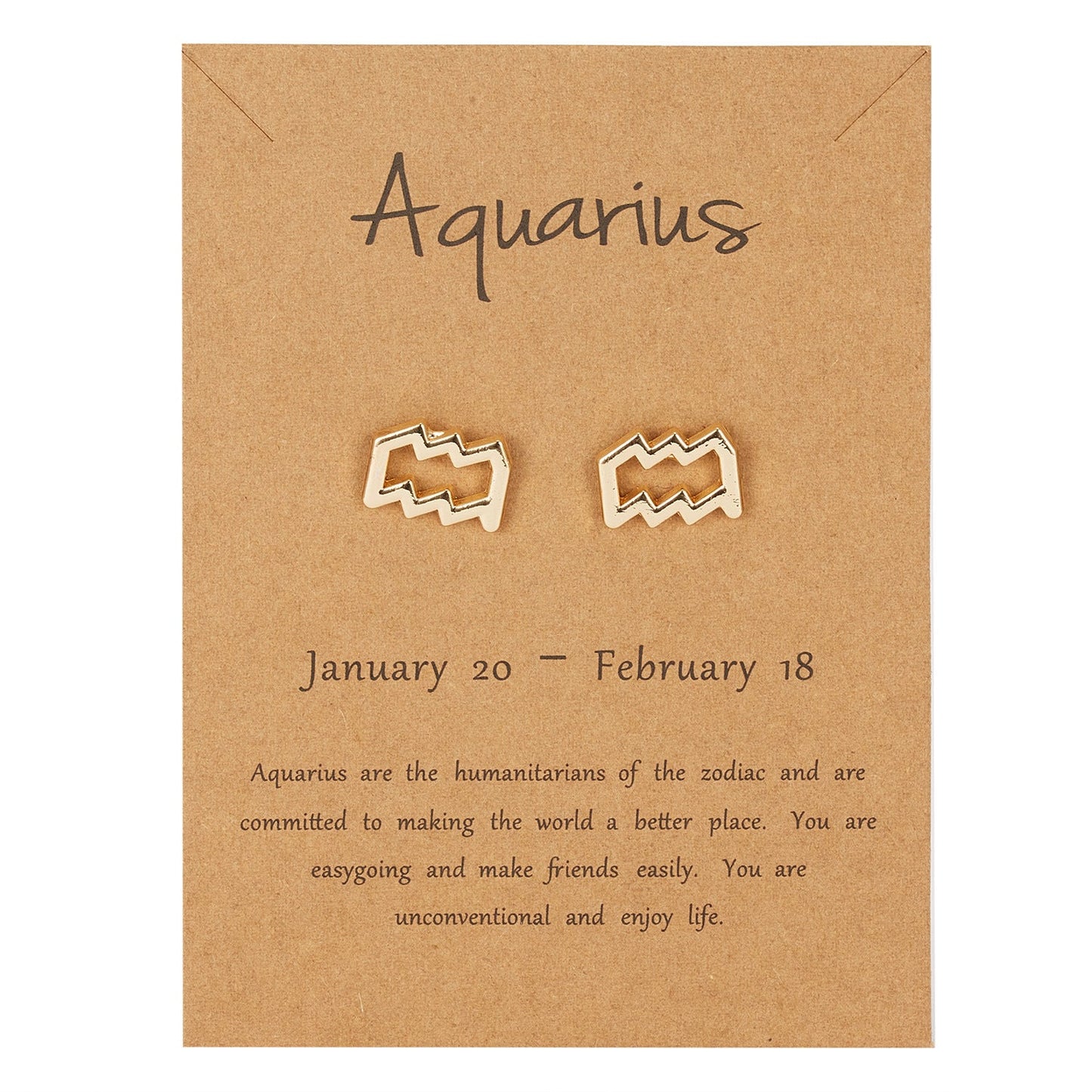 Aquarius Zodiac Earrings