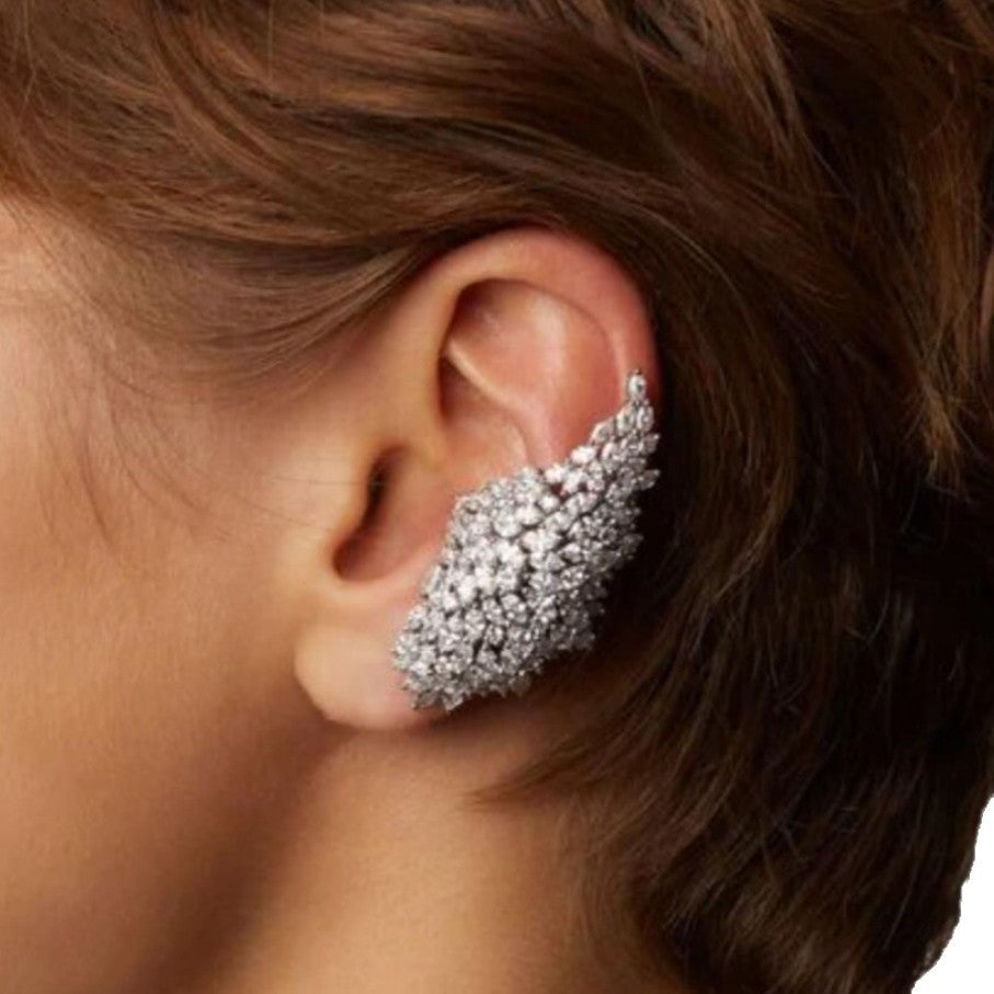 Stunning Earrings for Daily Wear