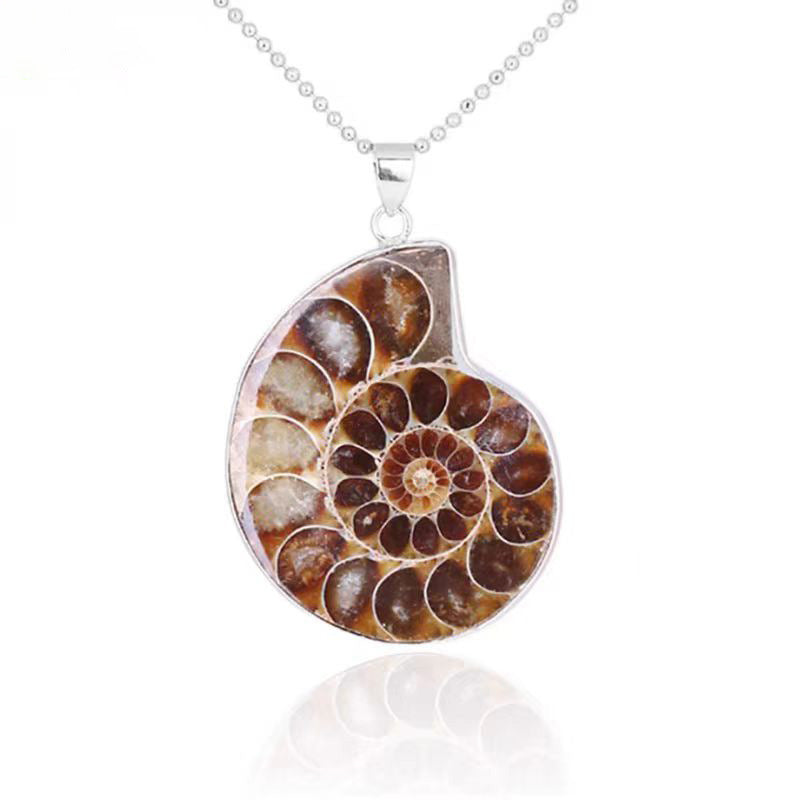 Ammonite Fossil Necklace