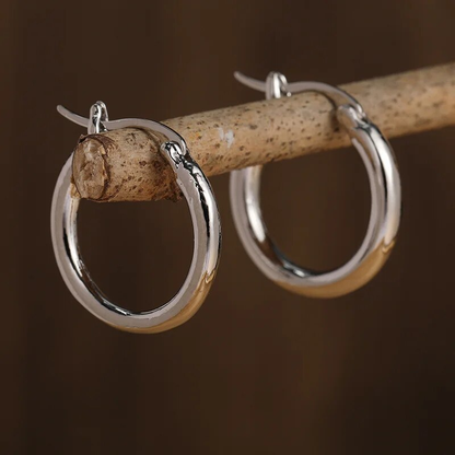 Gold & Silver Hoop Earrings