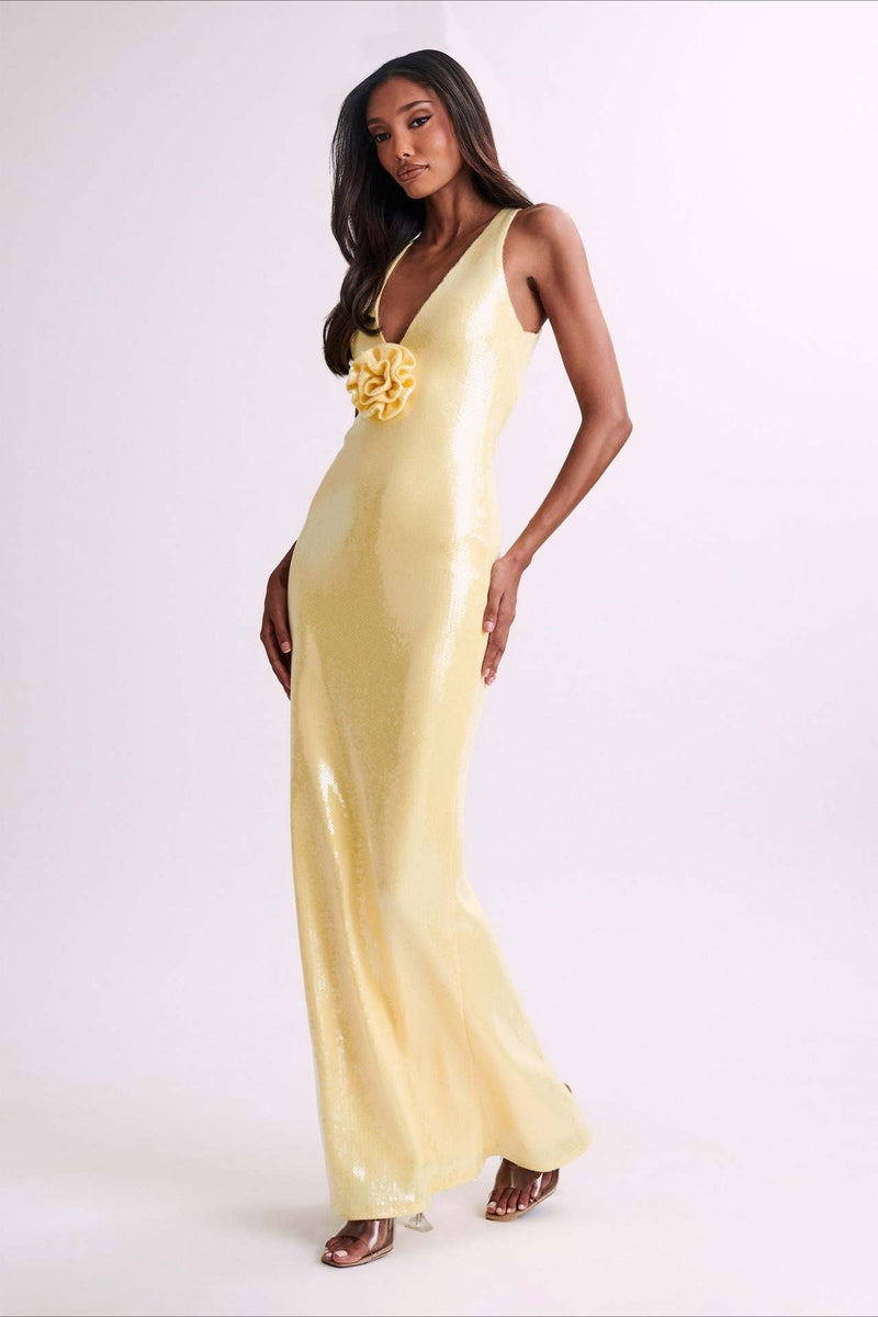 Backless Sequin Maxi Dress