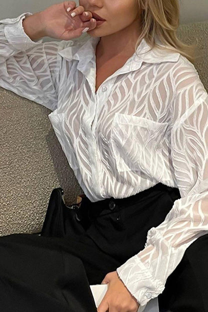 Sheer Textured Button-up Long Sleeve Blouse