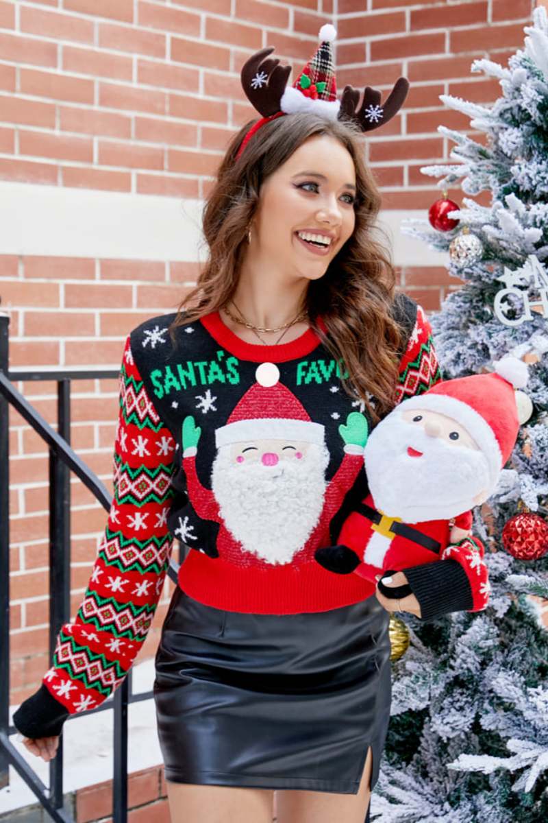 Embroidered Santa Claus Pattern Crew Neck Knit Sweater