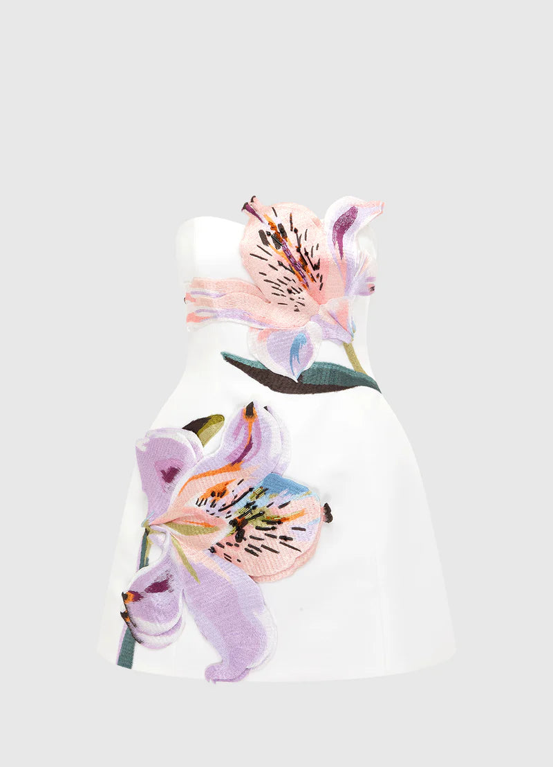 Rosario Applique Bustier Mini Dress™ — Command Every Room With Irresistible Confidence