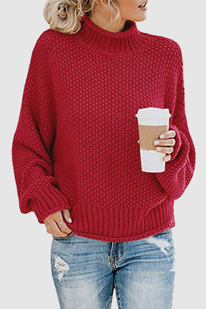 Patchwork Turtleneck Sweaters(11 Colors)