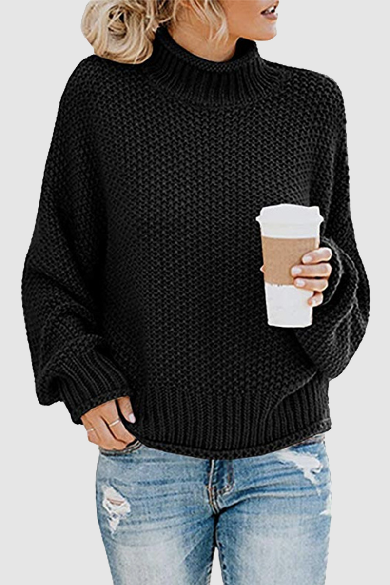 Patchwork Turtleneck Sweaters(11 Colors)