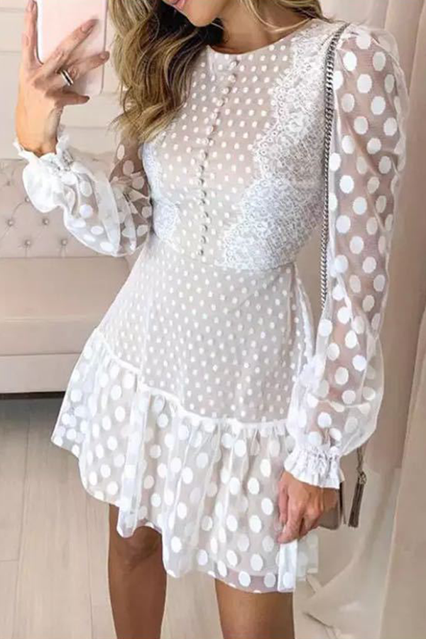 Polka Dot Lace Flounce O Neck Waist Skirt Dresses