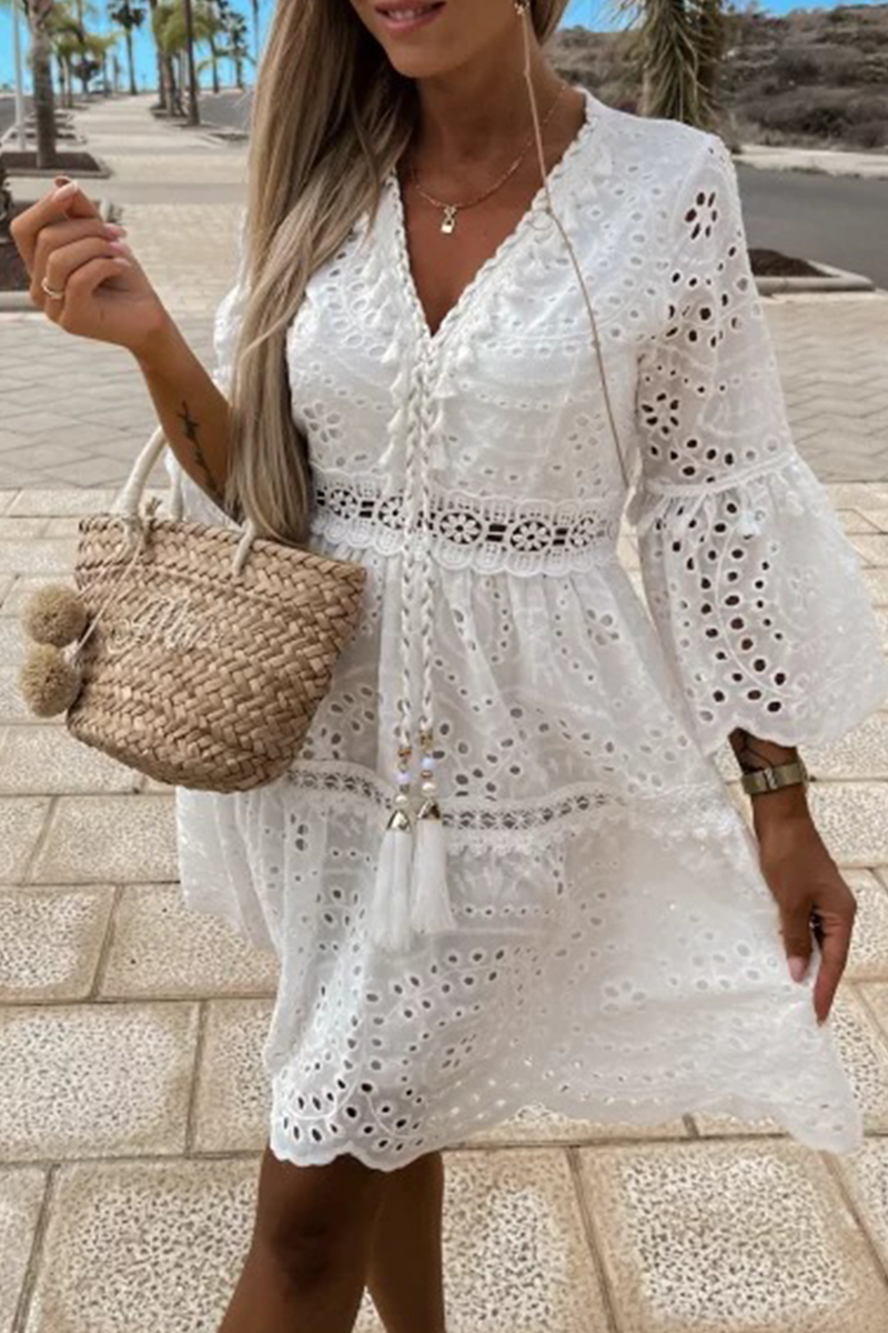Lace V Neck Cake Skirt Dresses