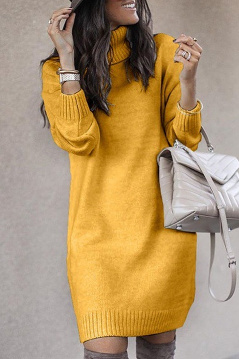 Color Turtleneck Sweaters(6 Colors)