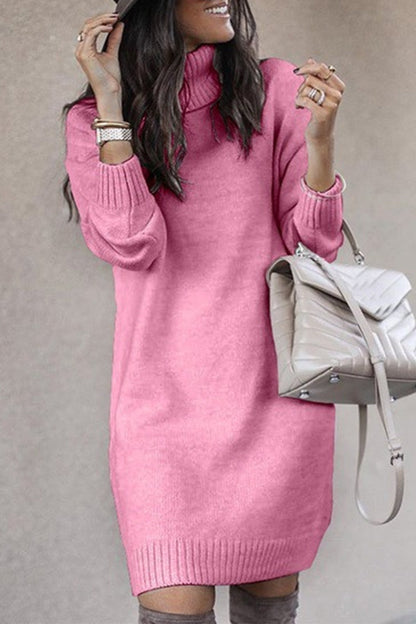 Color Turtleneck Sweaters(6 Colors)
