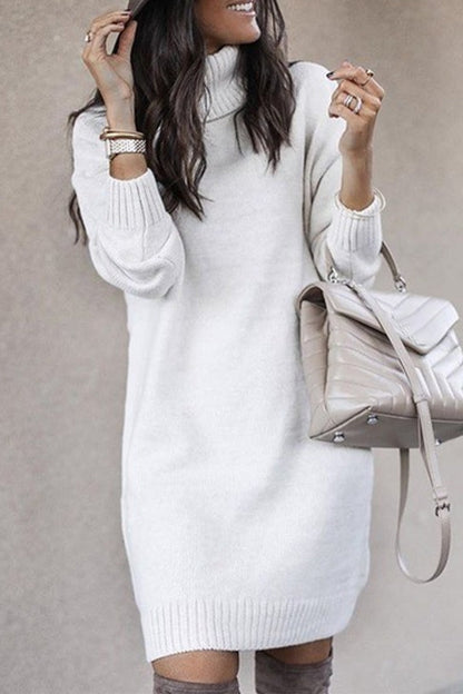 Color Turtleneck Sweaters(6 Colors)