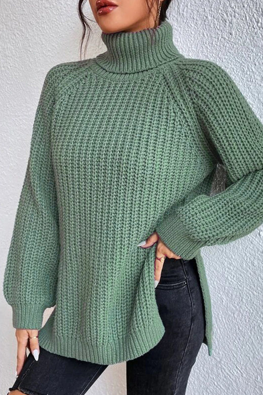 Basic Turtleneck Sweaters(5 Colors)