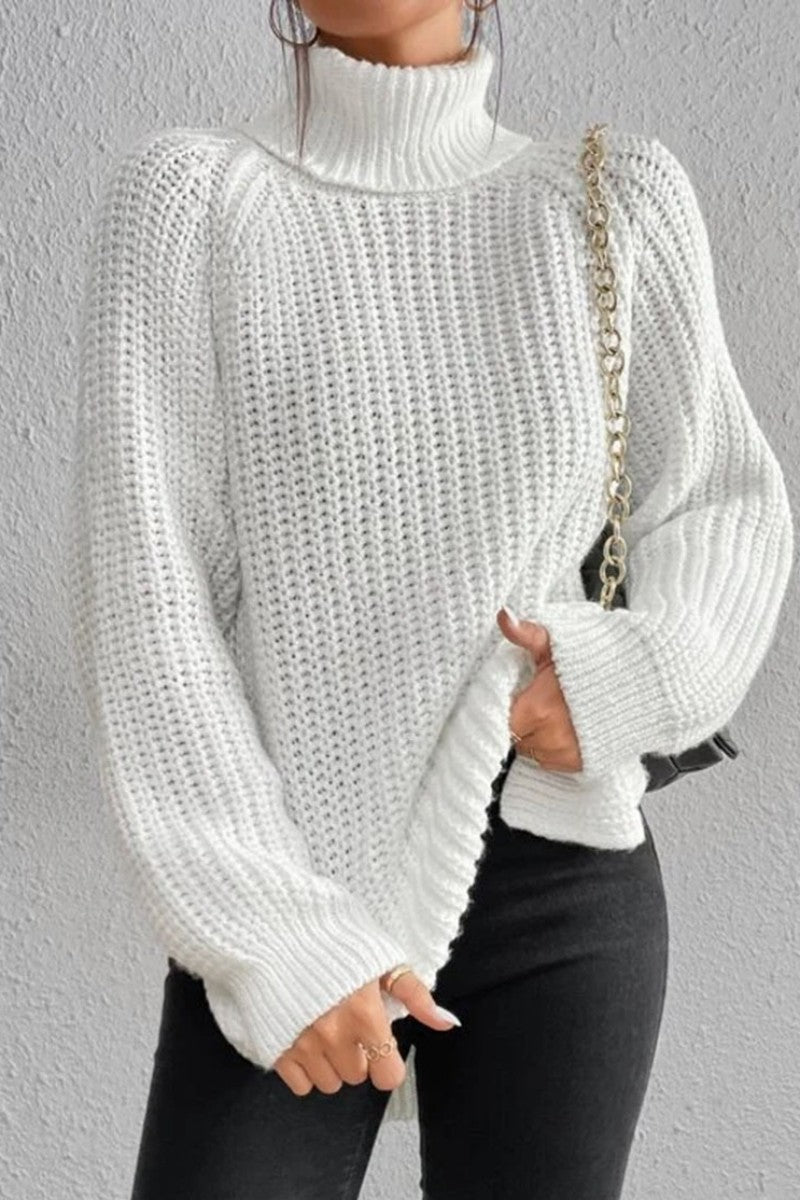 Basic Turtleneck Sweaters(5 Colors)