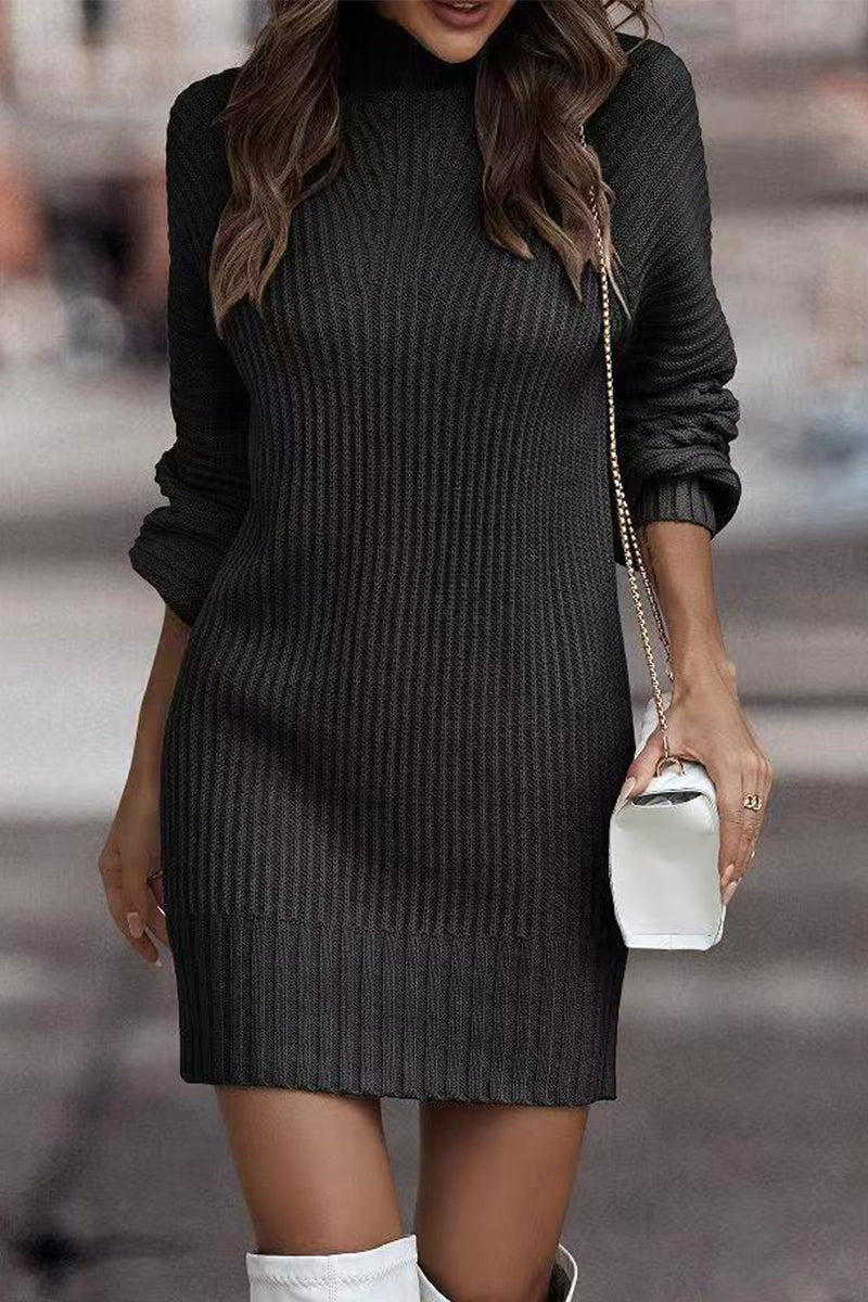 Patchwork Turtleneck One Step Skirt Dresses