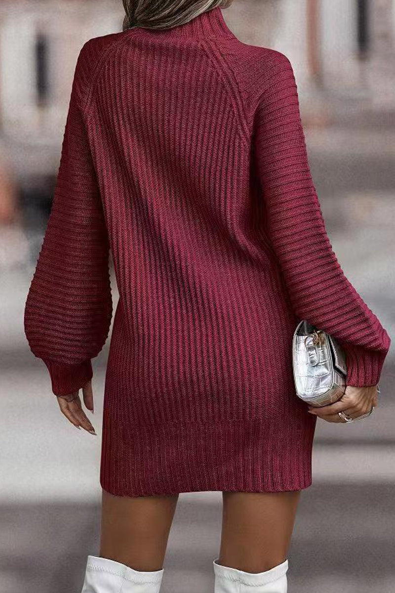 Patchwork Turtleneck One Step Skirt Dresses