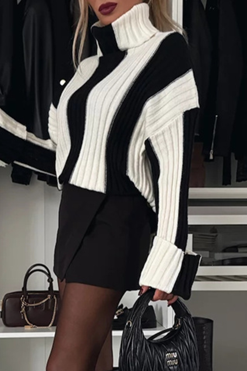 Stripe Weave Contrast Turtleneck Sweaters
