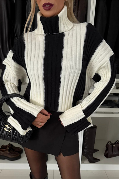 Stripe Weave Contrast Turtleneck Sweaters