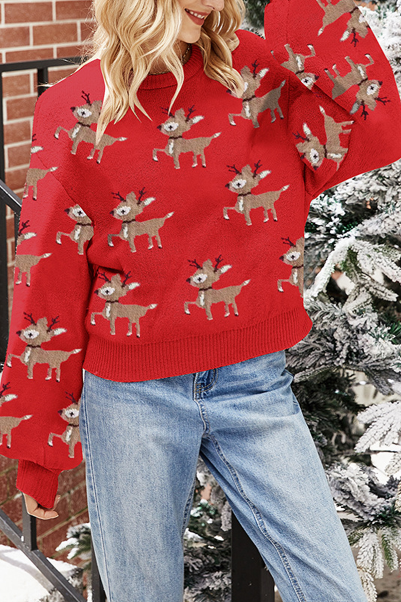 Wapiti Jacquard Contrast O Neck Sweaters(4 Colors)