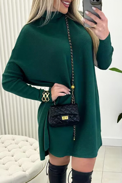 Daily Color Turtleneck Sweaters(3 Colors)