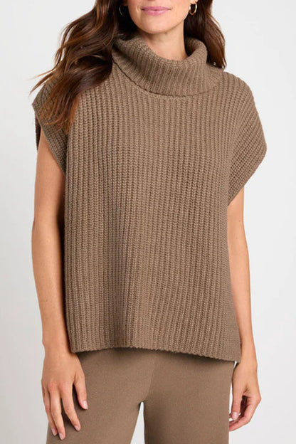 Color Turtleneck Sweaters(3 Colors)