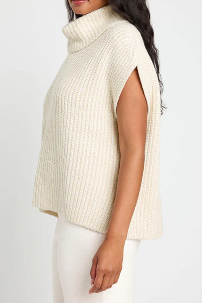 Color Turtleneck Sweaters(3 Colors)
