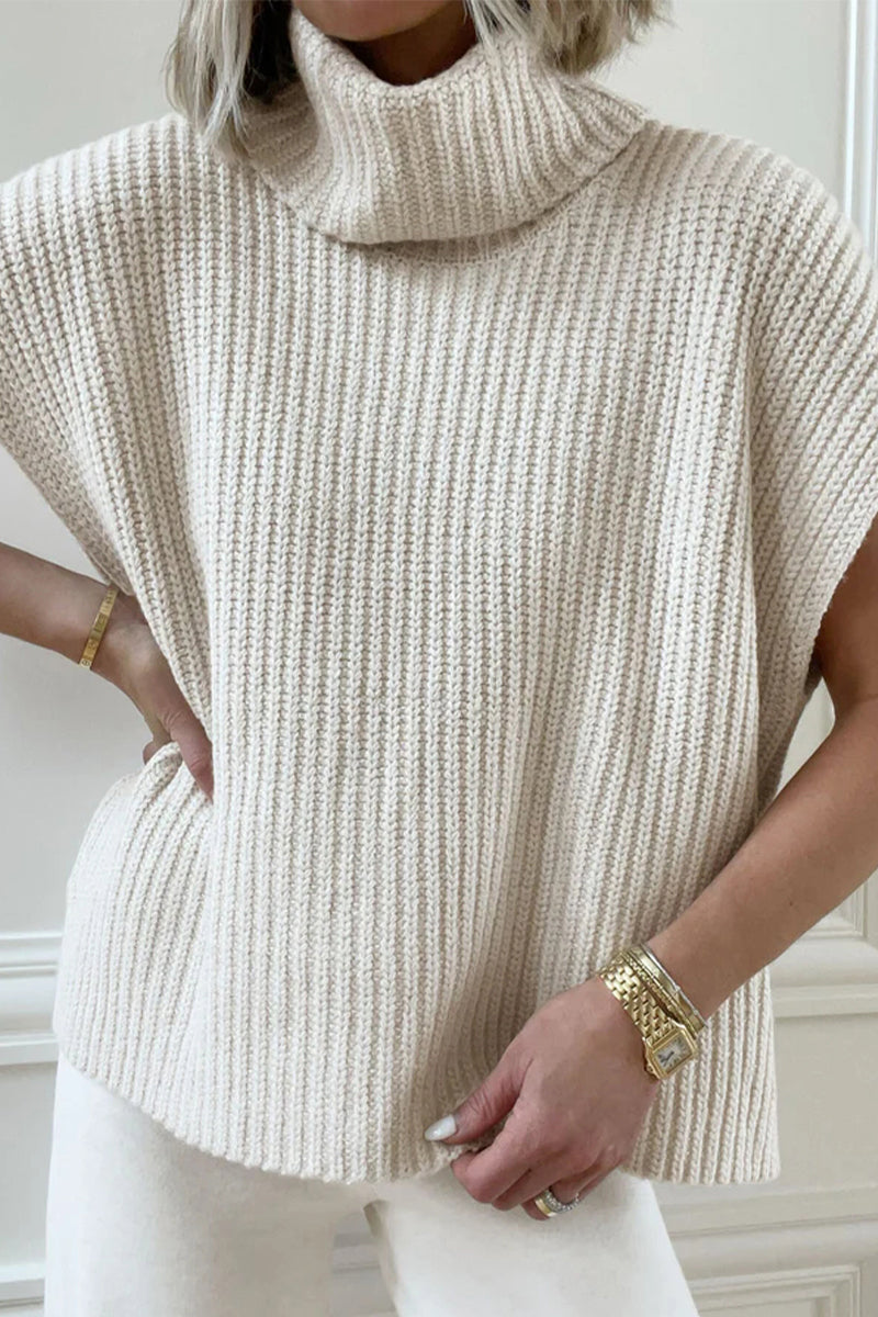 Color Turtleneck Sweaters(3 Colors)