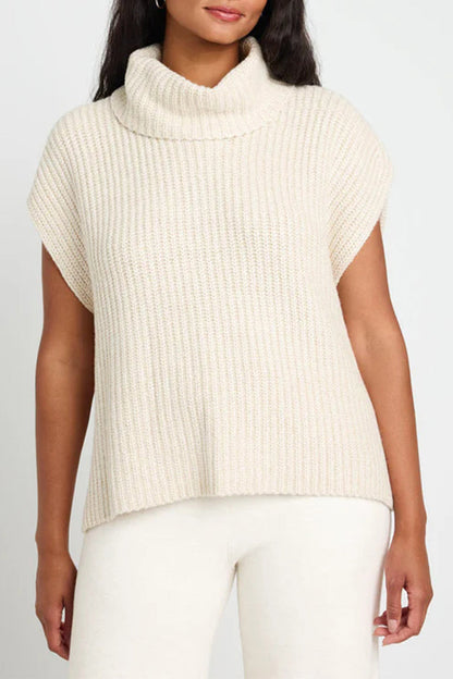 Color Turtleneck Sweaters(3 Colors)