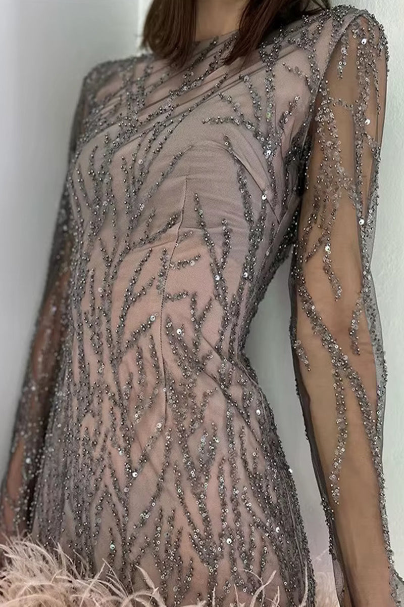 Mesh Tinsel Feather Hemline O Neck Mini Dresses