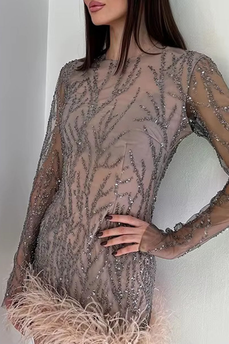Mesh Tinsel Feather Hemline O Neck Mini Dresses