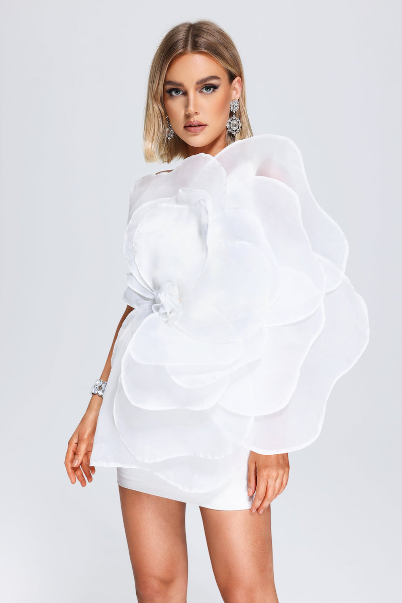 Kylie Mesh Mini Tube Dress