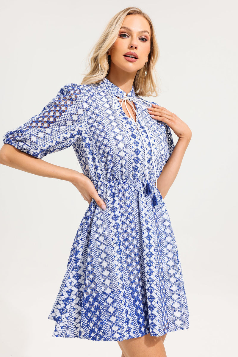 V-neck Embroidered Puff Sleeve Mini Dress