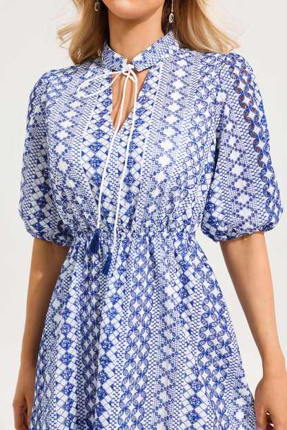 V-neck Embroidered Puff Sleeve Mini Dress