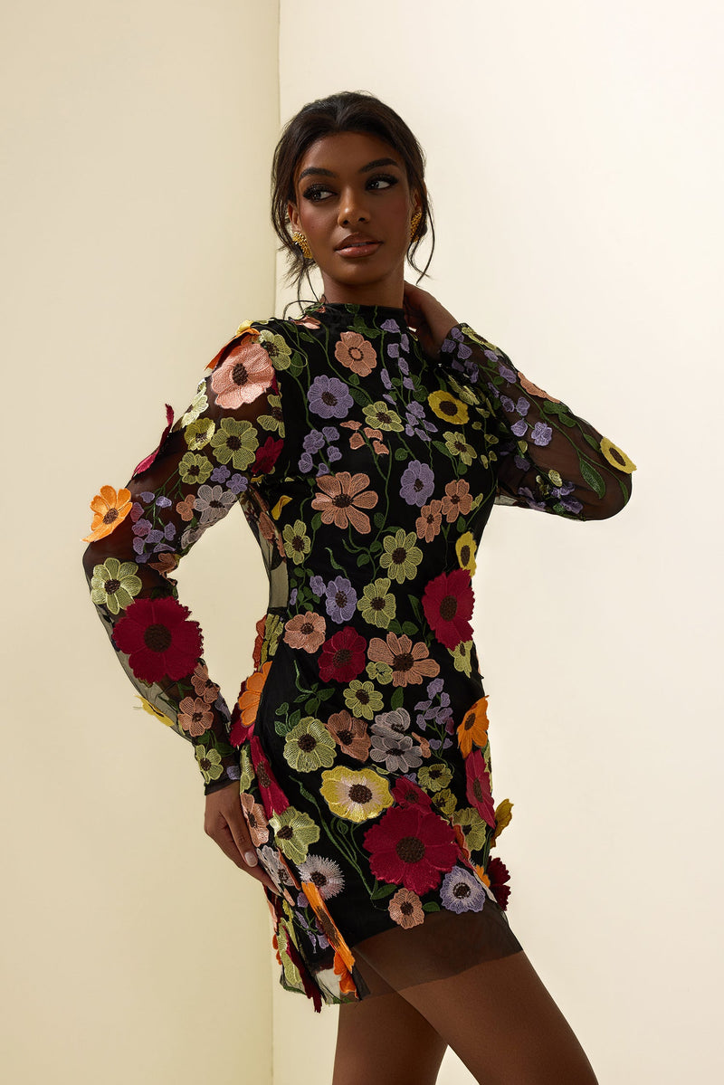 Embroidered Long Sleeve Mini Dress