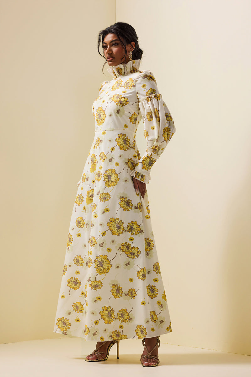 Stand Collar Lantern Sleeve Maxi Dress