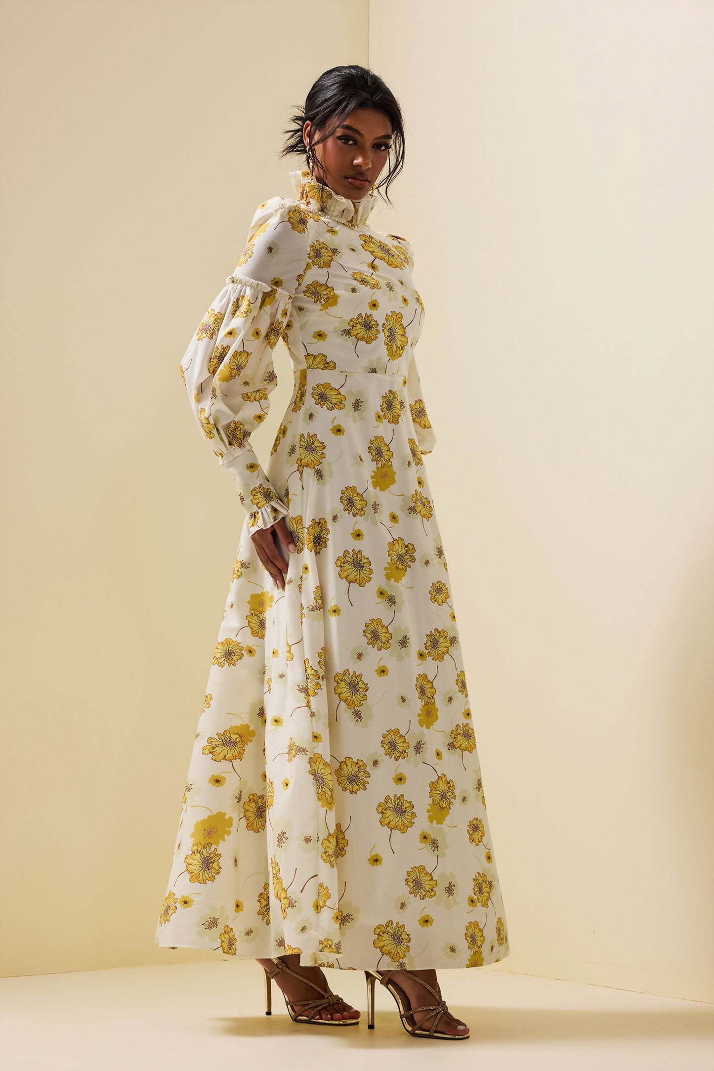 Stand Collar Lantern Sleeve Maxi Dress