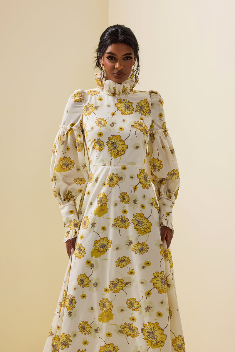 Stand Collar Lantern Sleeve Maxi Dress