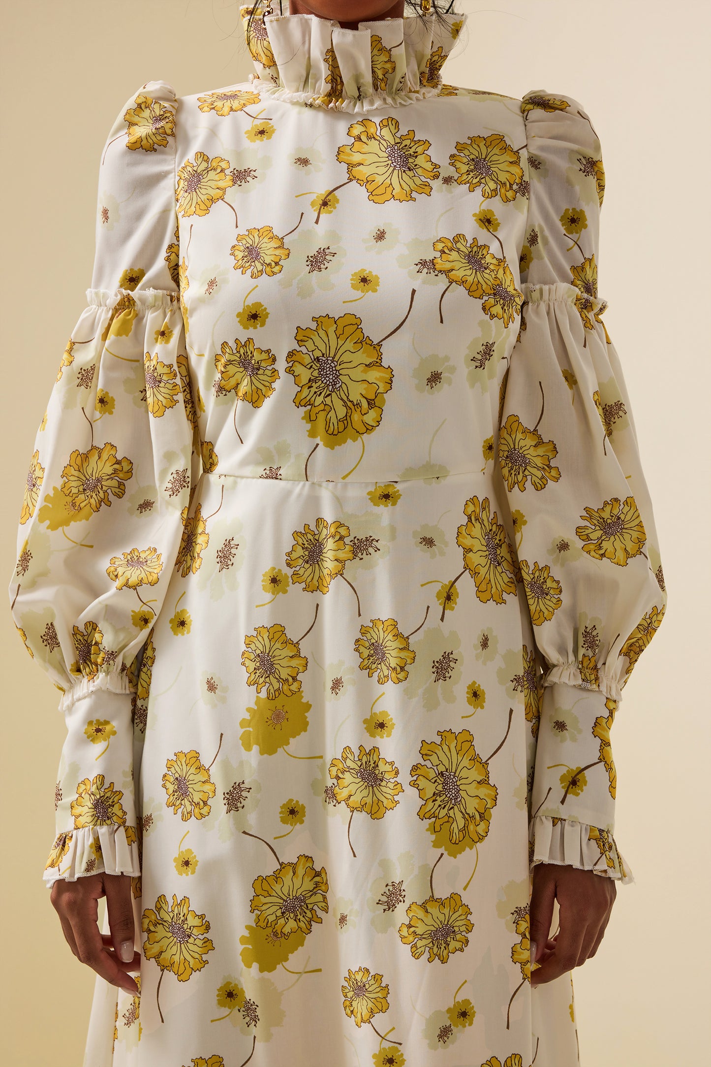 Stand Collar Lantern Sleeve Maxi Dress