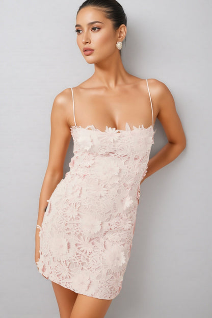 Oswia Pink Lace Mini Dress