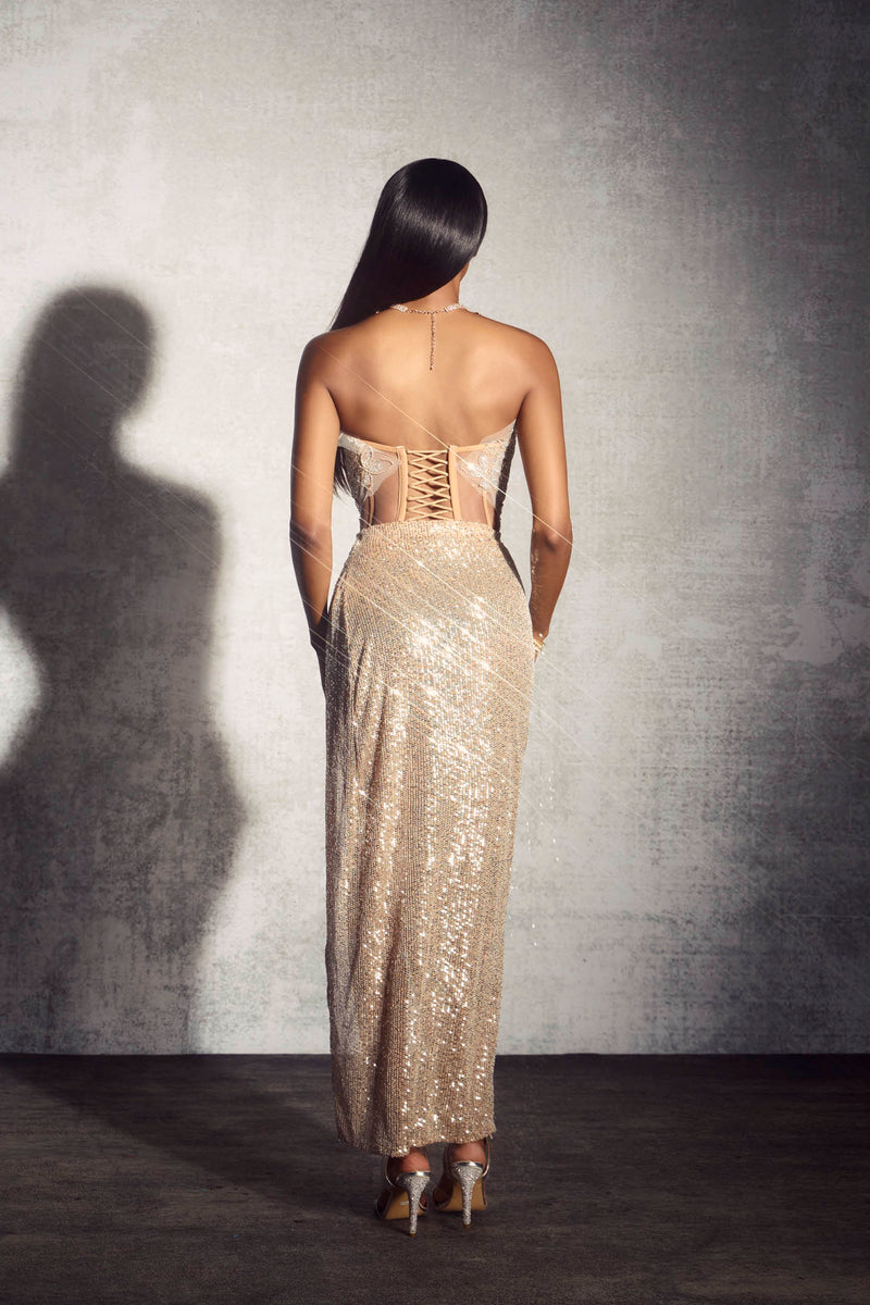 Odelia Sequin Embroidery Strapless Maxi Dress