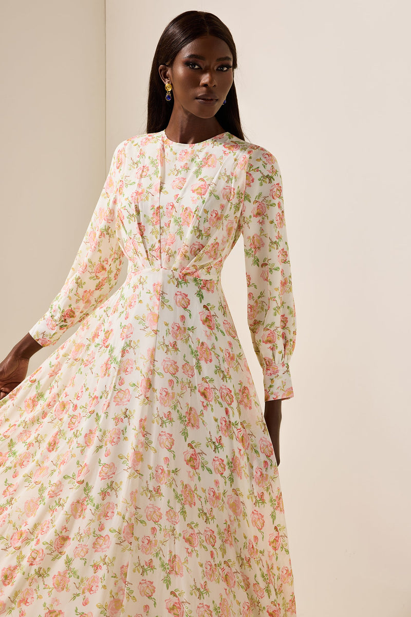 Chiffon Long Sleeve Maxi Dress