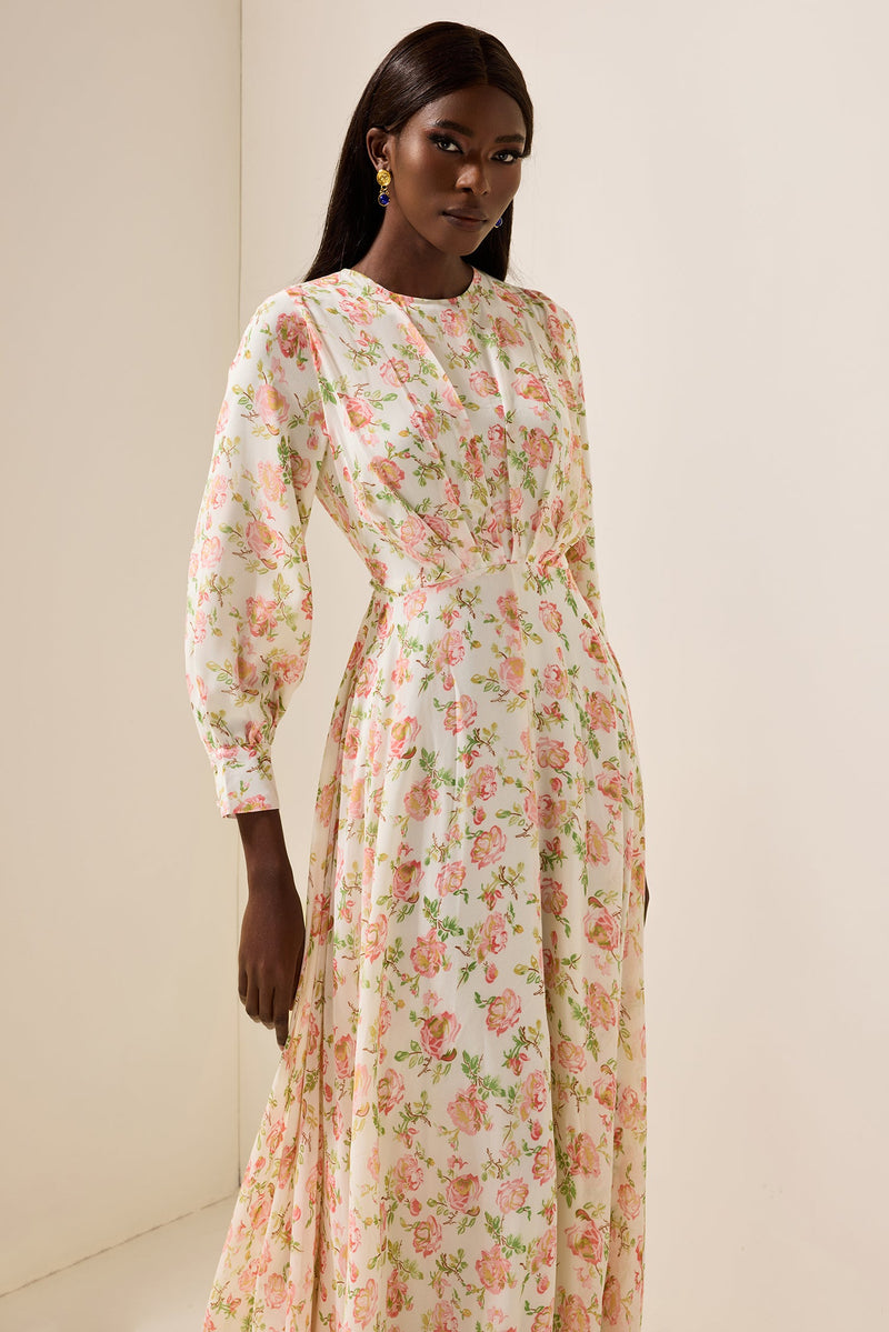 Chiffon Long Sleeve Maxi Dress