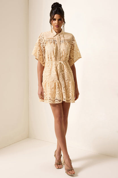 Lace Shirt Collar Mini Dress