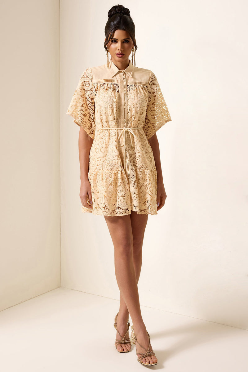 Lace Shirt Collar Mini Dress