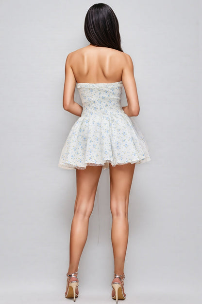Alison Print Corset Mini Dress
