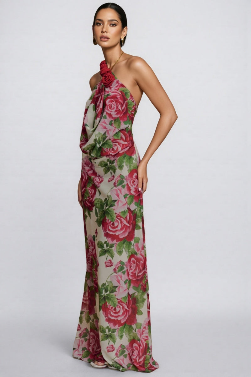 Ysraela Cowl Neck 3d Maxi Dress