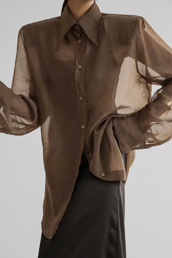 Sheer Long Sleeve Blouse