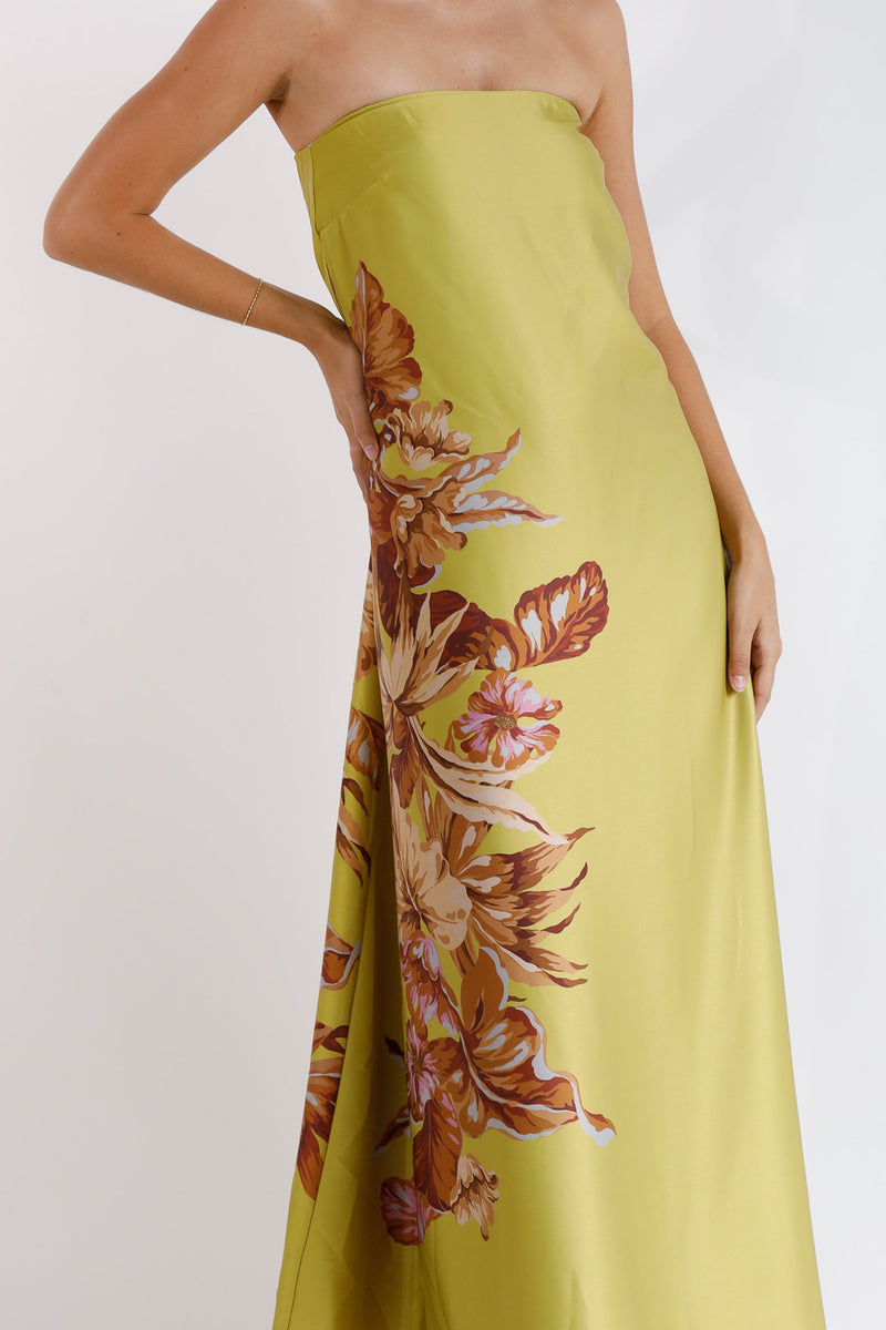 Xenia Printed Strapless Maxi Dress
