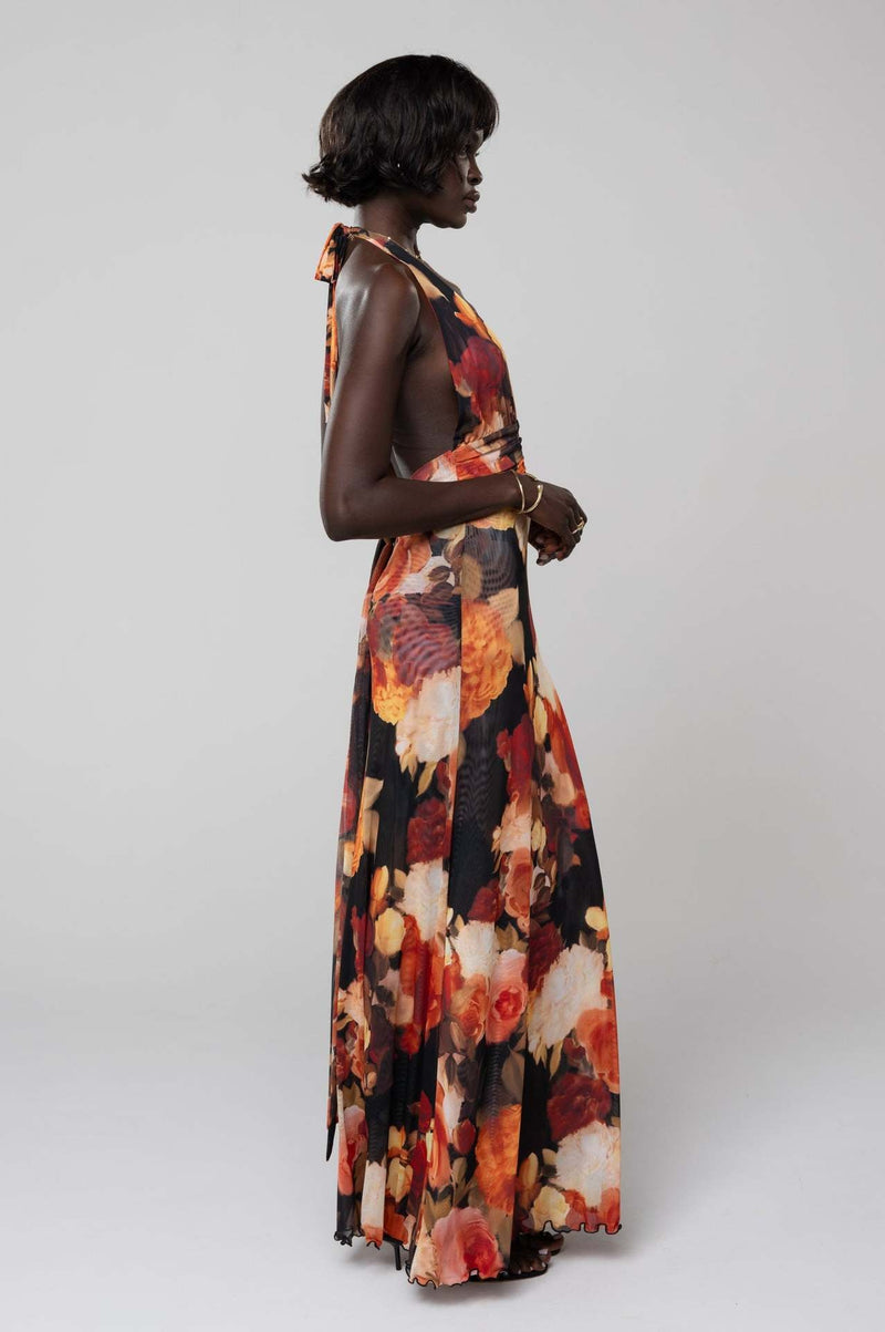 Camoni Polka Dot Diary Maxi Dress