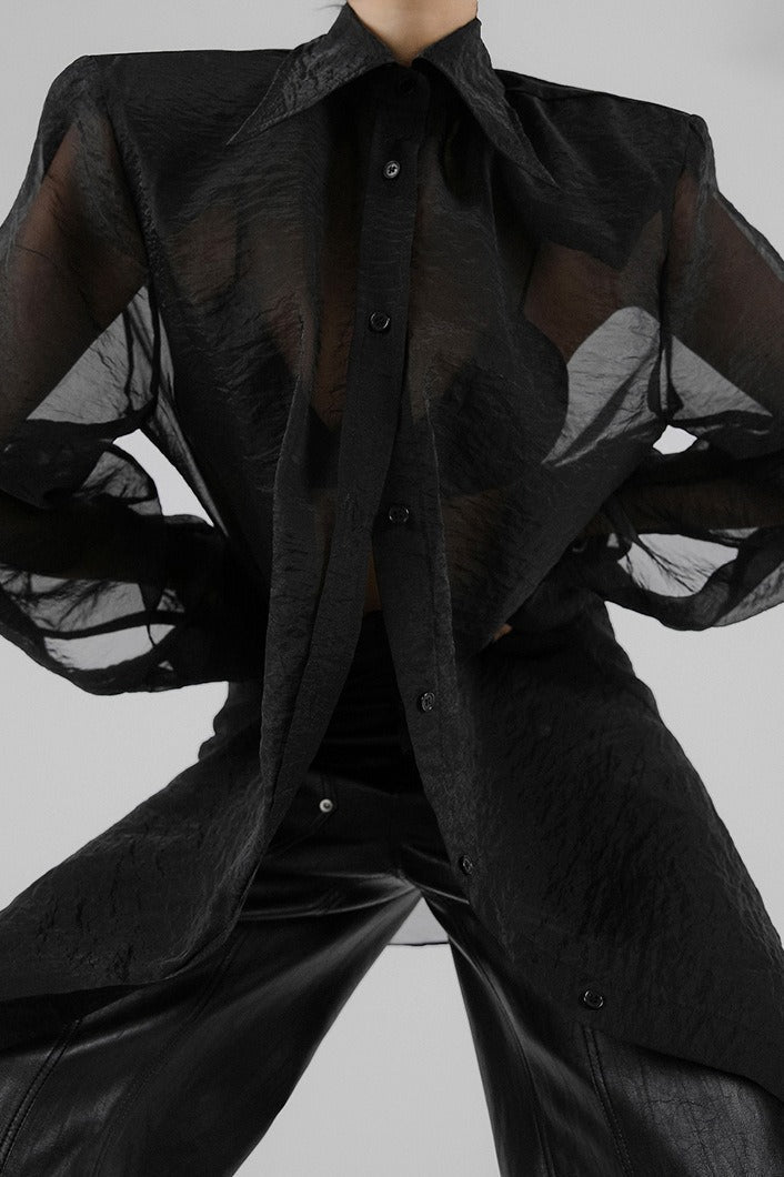Sheer Long Sleeve Blouse